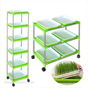 Bo Ke Trong Rau Mam Co Lua Mi 1