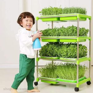 Bo Ke Trong Rau Mam Co Lua Mi 2