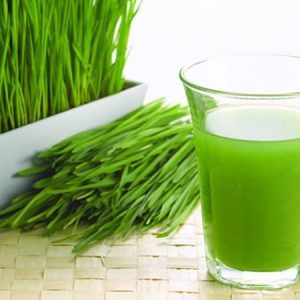 Nước ép cỏ lúa mì Úc