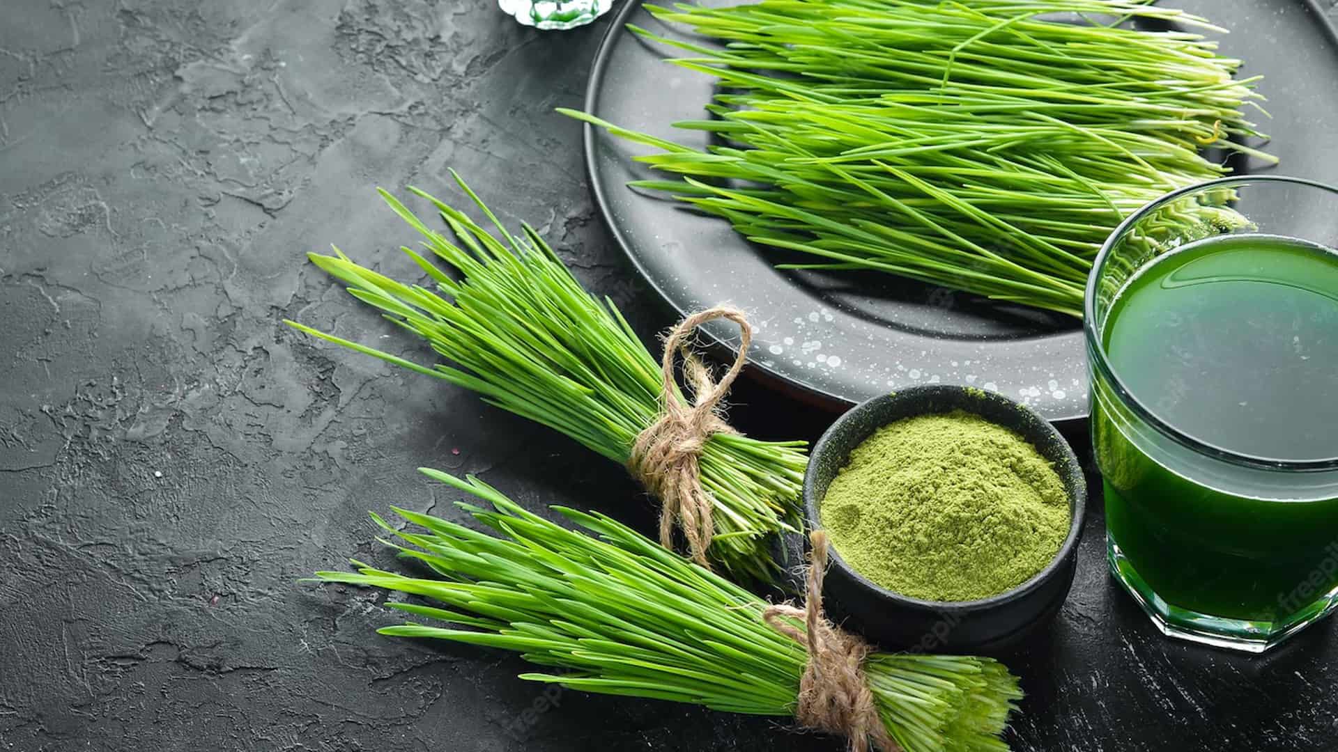 Coluami Shopmeoxam Banner 5