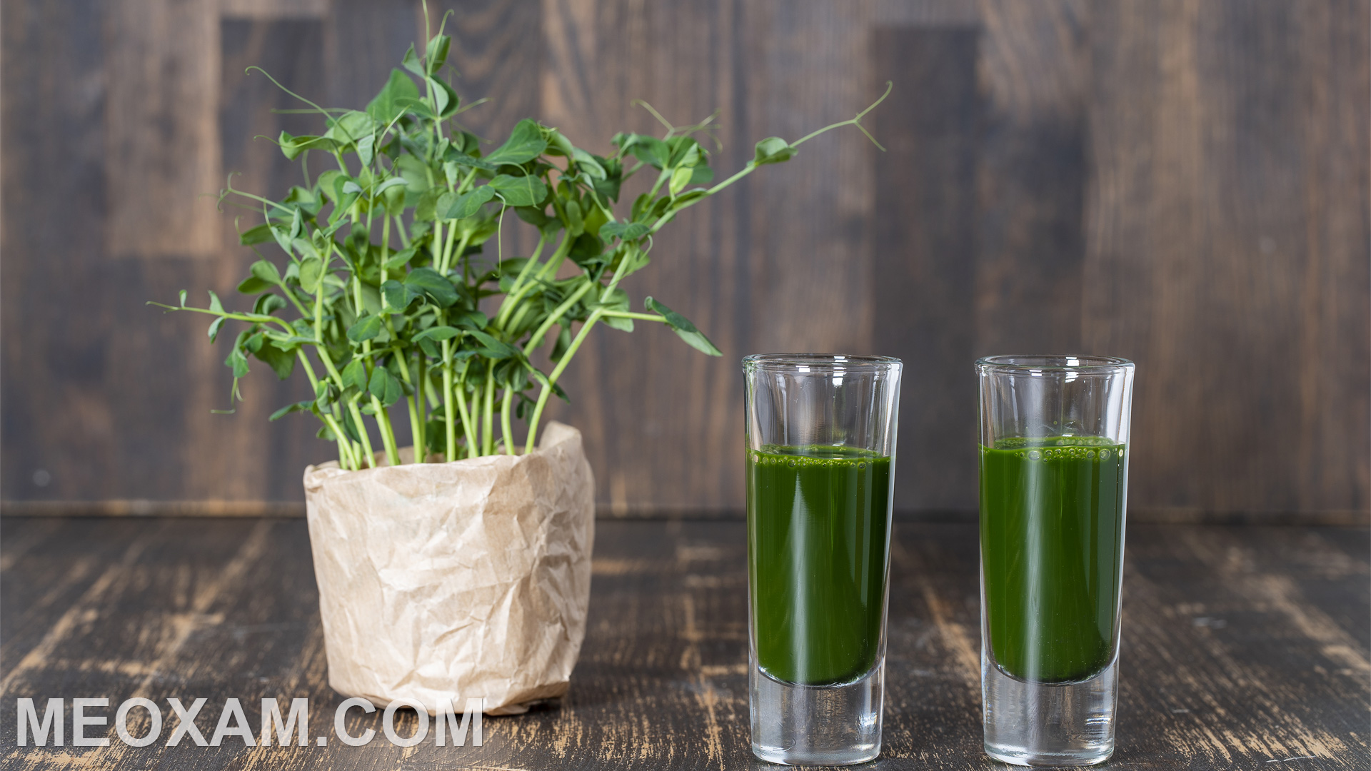 Shopmeoxam Mamdauhalan Banner6