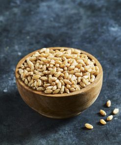 Hạt giống cỏ lúa mì Úc