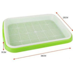 Khay trồng thủy canh rau mầm cỏ lúa mì